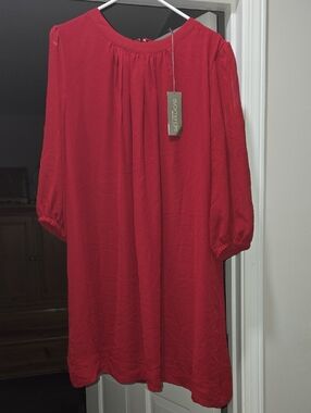 NWT eva mendes New York & Company Burgundy Dress